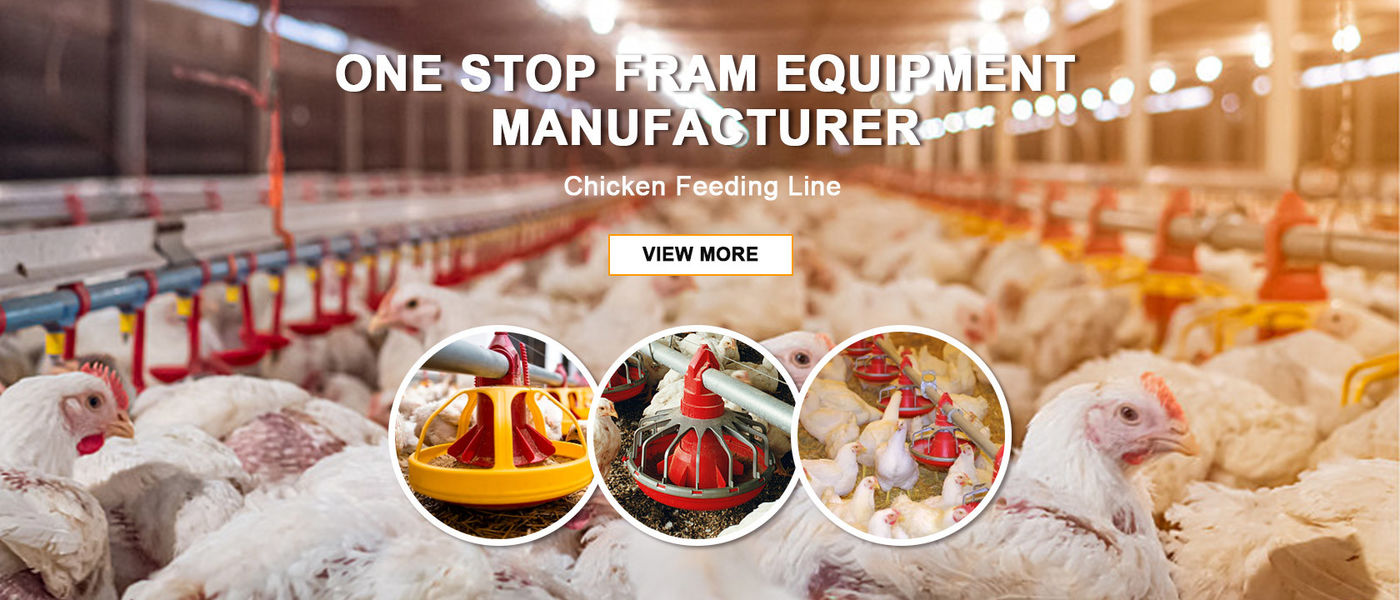 China am besten Geflügelfütterung Pan en ventes