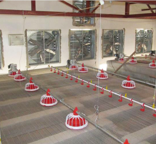 Vollautomatisches Hühnerfutterschneckensystem, Geflügelschneckenfutterautomat für den Bauernhof 1