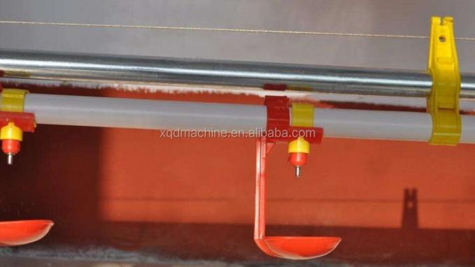 Automatic poultry chicken water for quail birds farm system China price