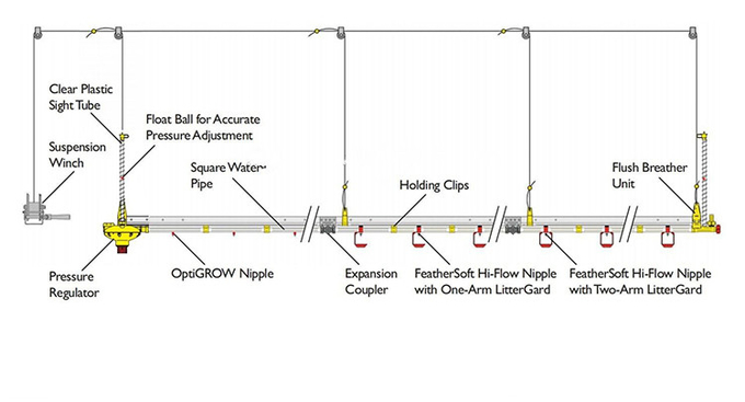 Geflügel-automatisches Hühnertrinkender System-Nippeltränke-Lieferant 3