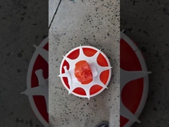 Automatische Fütterungsmaschine für Hühnerbauernhof, einfache Fütterungslinie, ganzer Satz Fütterungsausrüstung