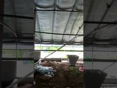 Kundengebundene automatische Hühnerbauernhof-Zufuhr-Ausrüstungs-Spannung justierbar