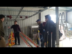 Trinkwasser-Bewässerungssystem-Trinker Nippel Waterer der Gansenten für die VogelGeflügelzuchtlandwirtschaft